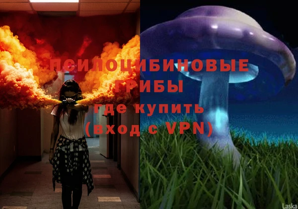 не бодяженный Володарск