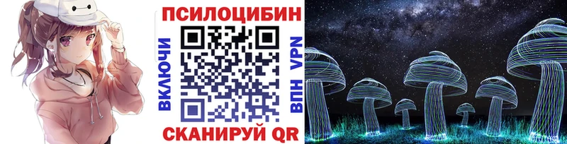 Псилоцибиновые грибы Psilocybe  Псков 